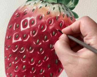 Strawberry Original Watercolor Painting Botanical Art Realistic Wall Art  Hand Painted Picture