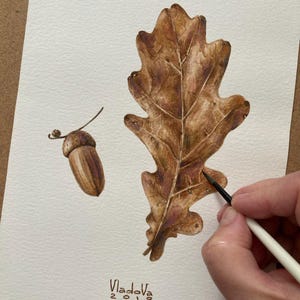 Pintura de acuarela de bellota original, arte botánico, arte mural realista, cuadro pintado a mano