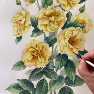 Roses Original Watercolor Painting Botanical Art Realistic Wall Art  Hand Painted Picture