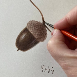 Pintura de acuarela de bellota original, arte botánico, arte mural realista, cuadro pintado a mano