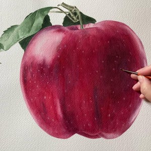 Pintura de acuarela de manzana original, arte botánico, arte de pared realista, imagen pintada a mano
