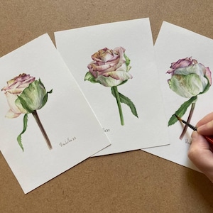 Roses Original Watercolor Painting Botanical Art Realistic Wall Art  Hand Painted Picture