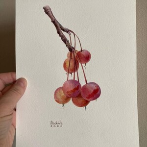 Original Paradiesapfel Aquarell Gemälde Botanische Kunst Realistische Wandkunst Handgemaltes Bild