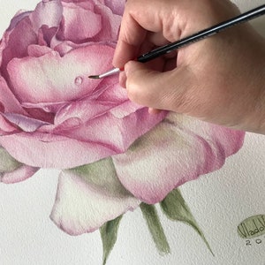 Pintura original de acuarela de rosa, arte botánico, arte mural realista, cuadro pintado a mano