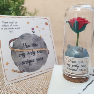 Handgemachte kleine Prinz Rose im Mini-Glas, verzaubertes Rosen-Geschenk in einer Glaskuppel