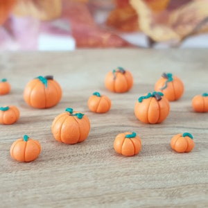 Miniature Pumpkin for Halloween Dollhouse Decor, Polymer Clay Mini Fairy Garden Accessories, Kitchen Vegetable Food Supplies image 10