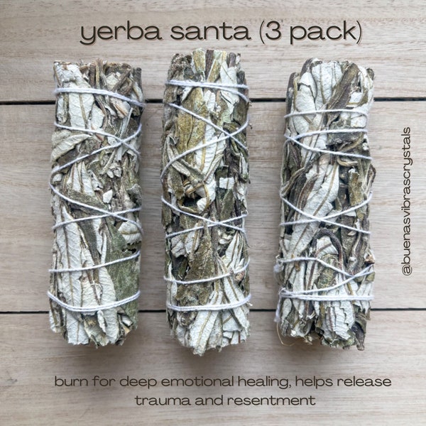 Yerba Santa Smudge Sticks, Sage for New Home Protection Ritual, Healing Insence, White Sage Alternative, 3 Pack for Energy Cleansing Bundle