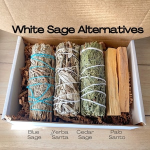 May include: A white box with four bundles of smudge sticks. The bundles are labeled "Blue Sage", "Yerba Santa", "Cedar Sage", and "Palo Santo".