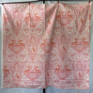 ROAR Gift Rapt Blush/Pink by Tula Pink for Free Spirit Fabrics PWTP224