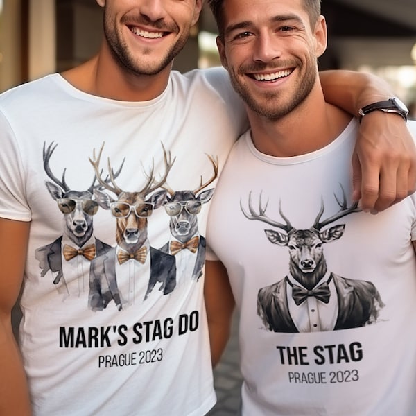 The Stag and stag's team t-shirt / Groom Groomsman gift Funny men's stag night tee Stag Do Honeymoon Husband to be / Wedding Bachelor Party