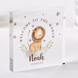 Personalised New Baby Gift Acrylic Plaque Welcome to the World Keepsake Custom Name & Date Nursery Animal Decor  Baby Shower Present