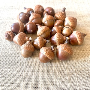 Real acorns with caps.  Natural acorns for craft projects. Thanksgiving decor, Autumn decoration, Rustic Wedding Centerpiece. CVAG