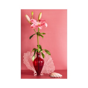 Still Life With Pink Stargazer Lily: Dutch Still Life, Floral Photo, Modern Art, Wall Hanging, Decorative, Fine Art, Pink Floral. Red Floral image 1