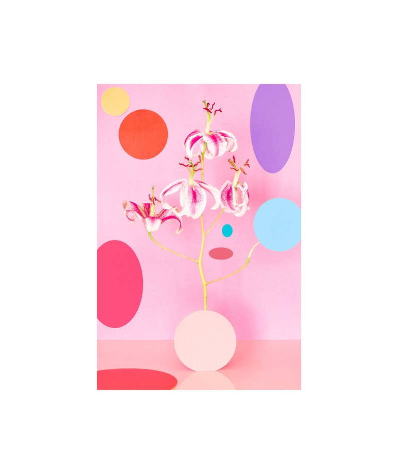 Still Life With Stargazer Lily No. 8: Fine Art Photography, Floral Print, Modern Art, Wall Hanging, Abstract Art, Decorative Art. Bild 1