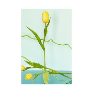 Still Life With Yellow Tulips: Fine Art Photography, Floral Print, Modern Art, Wall Hanging, Abstract Art, Decorative Art, Abstract Floral image 1