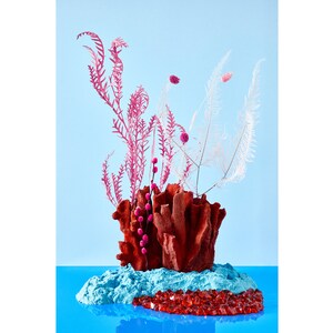 Op de afbeelding: Een rood koraalachtig beeld met roze en witte gedroogde bloemen erop. Het beeld staat op een blauw en wit textuur oppervlak met rode glazen stukken ervoor. De achtergrond is lichtblauw.