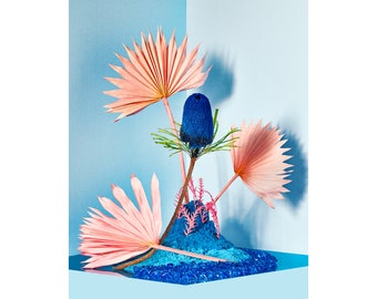 Blue Lagoon: Still Life Photo, Flower Art, Floral, Modern Art, Abstract Art, Conceptual Art, Home Decor (Limited Edition print of 50)