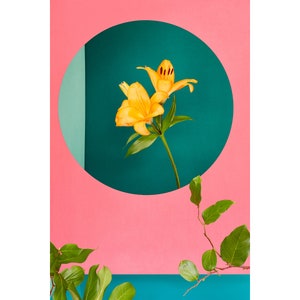 Orange Lily Still Life: Modern Floral Art Photography Print