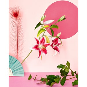 Stargazer Lily Still Life: Modern Floral Art Print