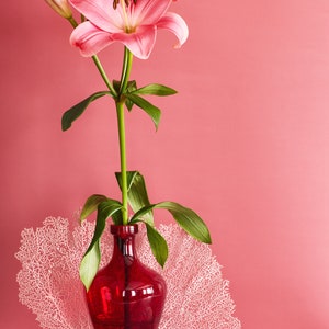 Still Life With Pink Stargazer Lily: Dutch Still Life, Floral Photo, Modern Art, Wall Hanging, Decorative, Fine Art, Pink Floral. Red Floral image 2