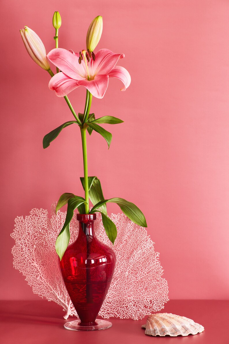 Still Life With Pink Stargazer Lily: Dutch Still Life, Floral Photo, Modern Art, Wall Hanging, Decorative, Fine Art, Pink Floral. Red Floral image 2