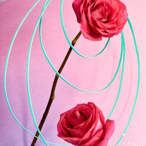 Still Life With Roses: Floral Photo, Modern Art, Wall Hanging, Decorative Art, Fine Art, Abstract Floral, Dreamy Photo, Pink Rose Photo image 2