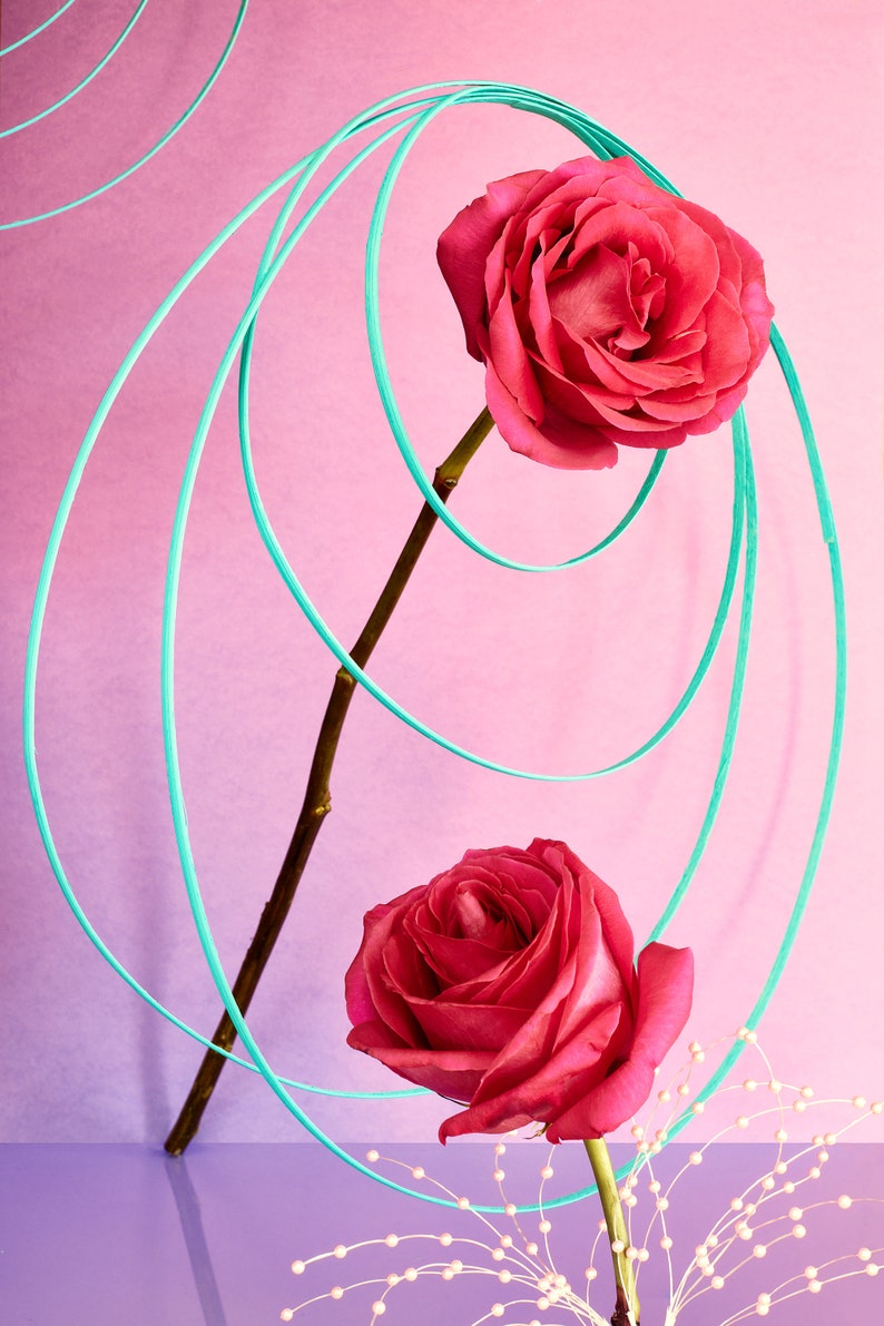 Still Life With Roses: Floral Photo, Modern Art, Wall Hanging, Decorative Art, Fine Art, Abstract Floral, Dreamy Photo, Pink Rose Photo image 2