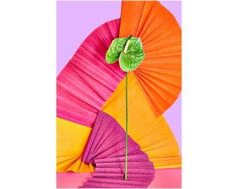 Still Life With Green Anthurium Glower : Giclée Print, Floral Photo, Wall Hanging, Abstract Art, Decorative, Fine Art, Abstract Floral