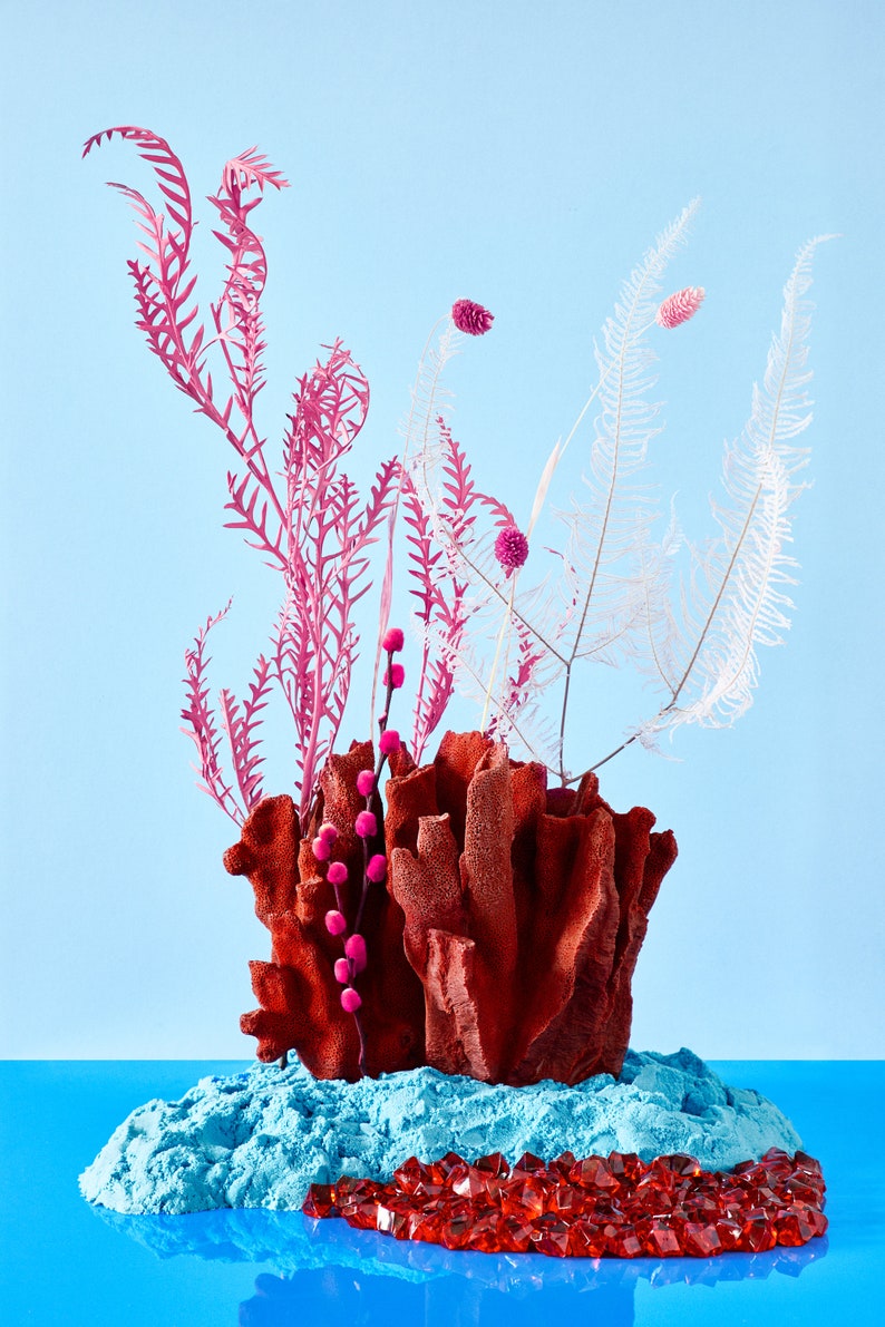 Op de afbeelding: Een vaas van koraalkleur met roze en witte gedroogde bloemen, die op een blauw zandachtig oppervlak staat met rode kristallen die eromheen zijn verspreid. De achtergrond is lichtblauw.