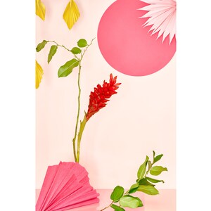 Hawaiian Ginger Flower Still Life Art Print: Modern Floral Photography