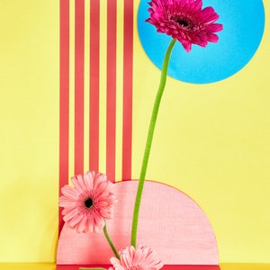 Pink Sunflowers with Red Stripes: Still Life, Fine Art Photography, Archival Print, Giclée Print, Floral Print, Modern Art, Decorative Art image 2