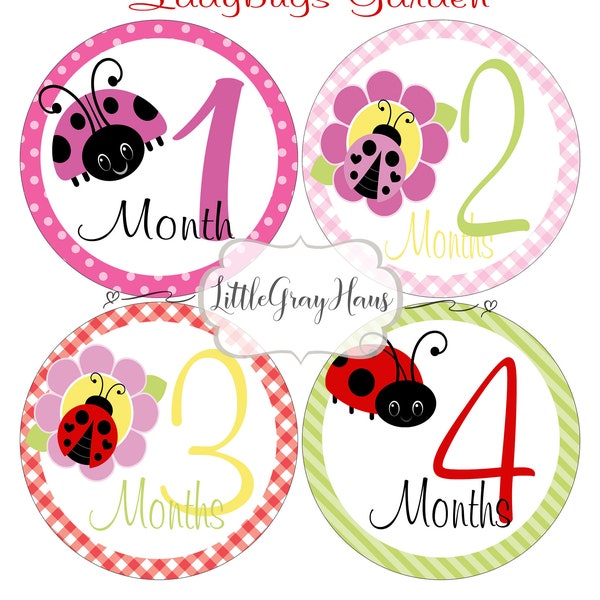 PRINTABLE Round Monthly Infant Stickers, Bodysuit stickers, PDF Instant Download Digital file only