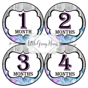 Baby Monthly Stickers, Monthly Milestone Stickers, Newborn baby gifts, Baby shower gifts