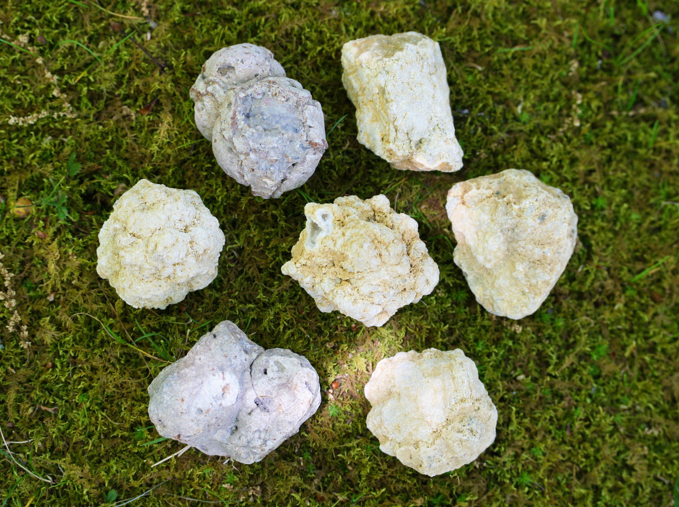 Break Your Own Geode Whole Geode, Clear Quartz Crystal, Quartz Geode Etsy