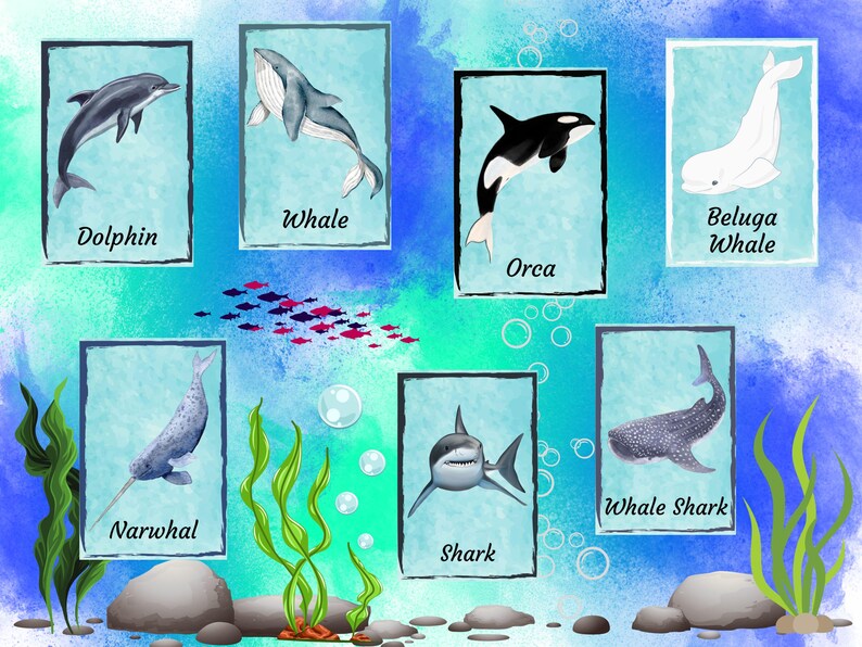 Sea Animals Flash Cards & Coloring Pages | Montessori Learning (digital ...