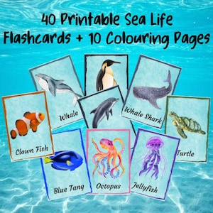 Lernbare Lernkarten Malvorlagen Meerestiere Kinder | Sofortiger digitaler Download Montessori lernen Printable Nautical Ocean Life DIY