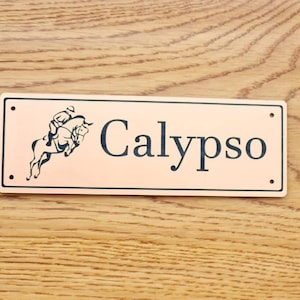 Segnaletica personalizzata, realizzata su ordinazione, uso esterno, acrilico resistente, effetto metallico, cartello per casa, capannone, porta, stalla, nome, qualsiasi immagine del logo, realizzata nel Regno Unito