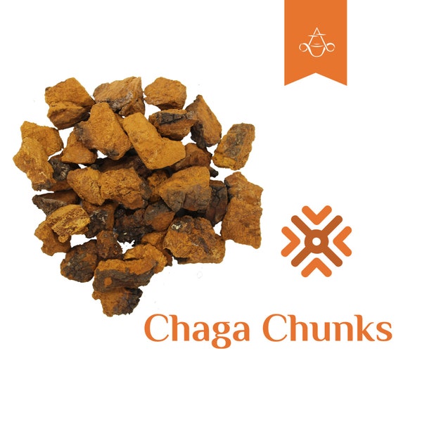 High Potency Siberian Chaga Mushroom Chunks | 4 oz. (110 gr.) | Harvested in 2021