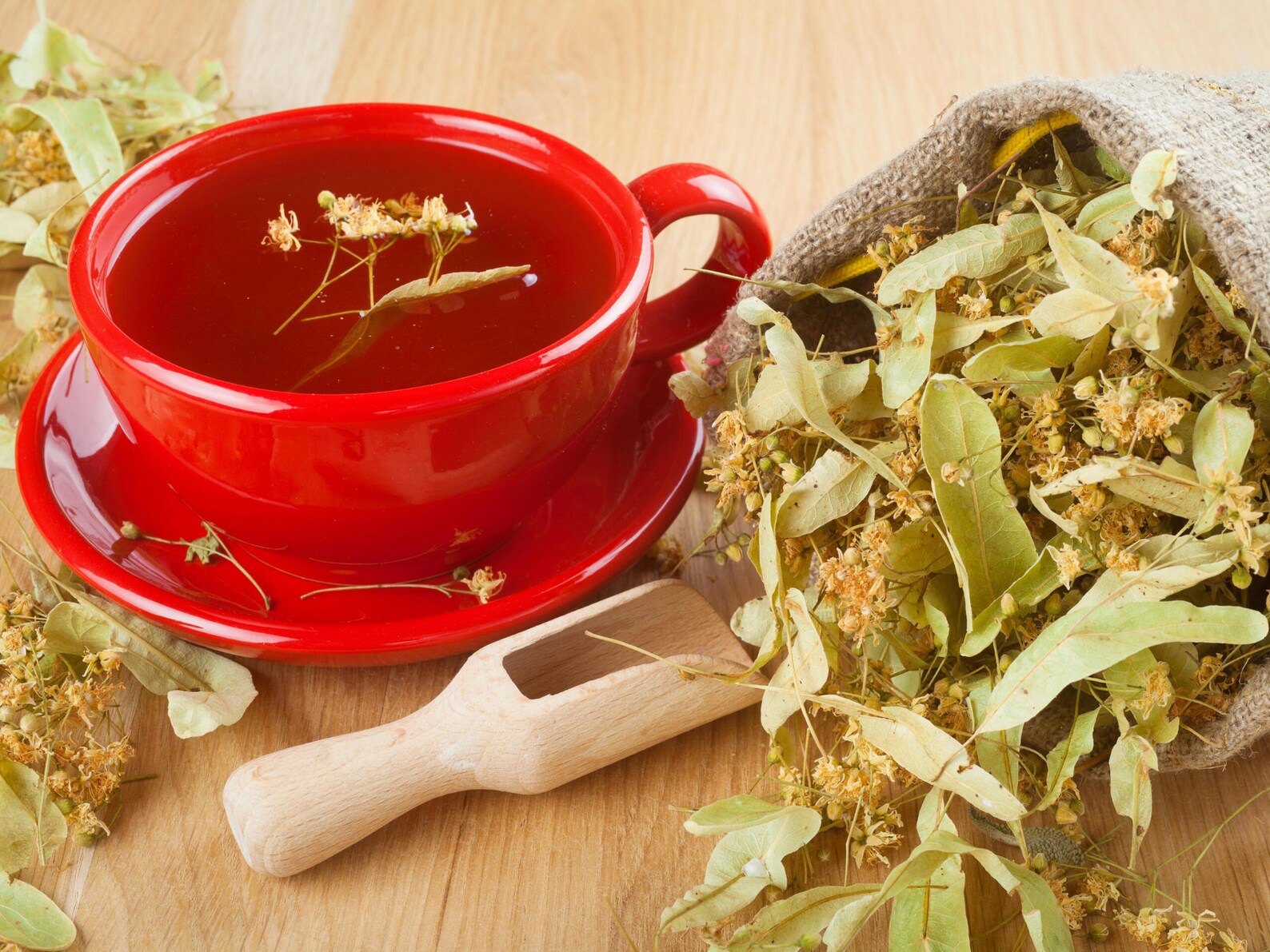 Wildcrafted Siberian Linden Tea Leaves & Flowers Tila Tea Etsy