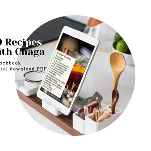 30 Recipes with Chaga Digital Book | PDF