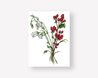 Winter Bouquet Botanical Illustration Print | 9x12 Unframed Art Print