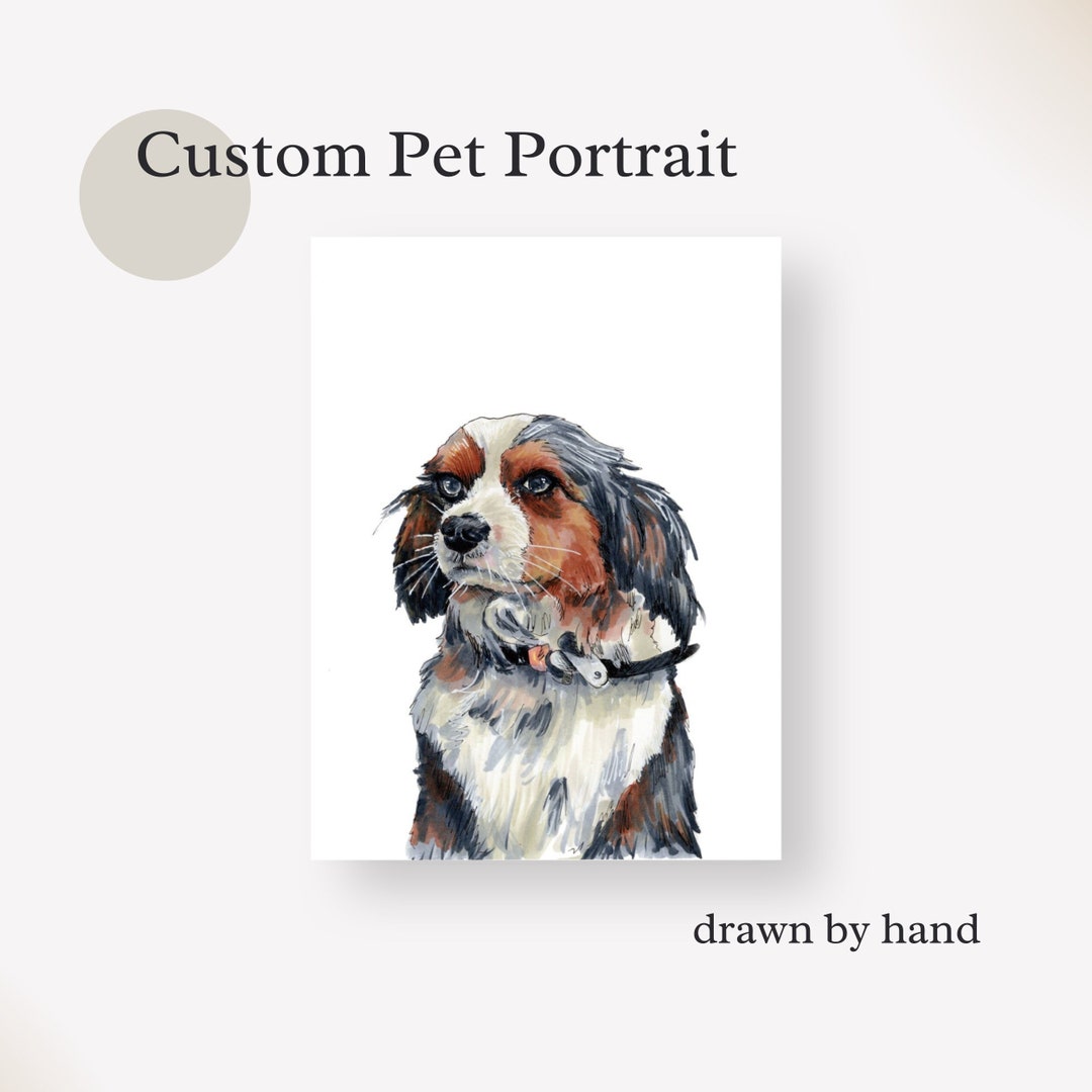 Hand Drawn Pet Portrait Pet Drawing Custom Pet Illustration Photograph ...