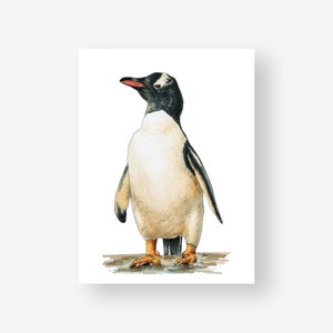 Penguin Animal Illustration Print | 6x8 Unframed Print