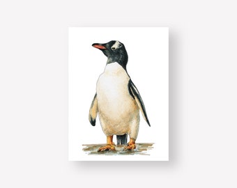 Penguin Animal Illustration Print | 6x8 Unframed Print