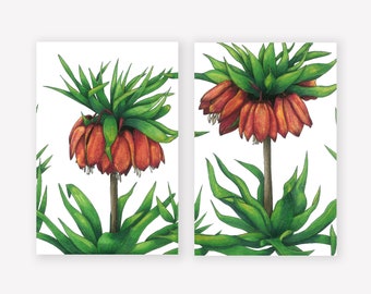 Orange Flower Botanical Art Print | Set of Two | 6x9 Unframed Prints