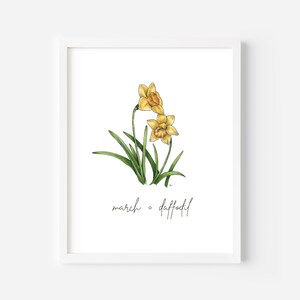 Daffodil Flower Art Print | March Birth Flower | Downloadable Printable Art | Digital Art File in Three Sizes | Flower Art for Download