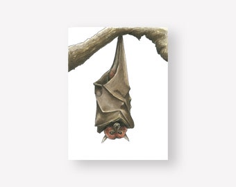 Bat Illustration Art Print | 6x8 Unframed Animal Print