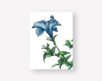 Blue Flower Botanical Illustration Print | 6x8 Unframed Print