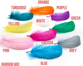 50 pcs Plumes d’oie - 8-13cm - Plumes bleues, Plumes orange, Plumes roses, Plumes blanches, Plumes grises, Plumes vertes