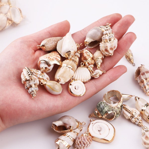 Choice of Gold Plated Shell Pendants, Assorted Natural Shell Pendants, Seashell Charms, Assorted Seashells, Seashell Jewelry